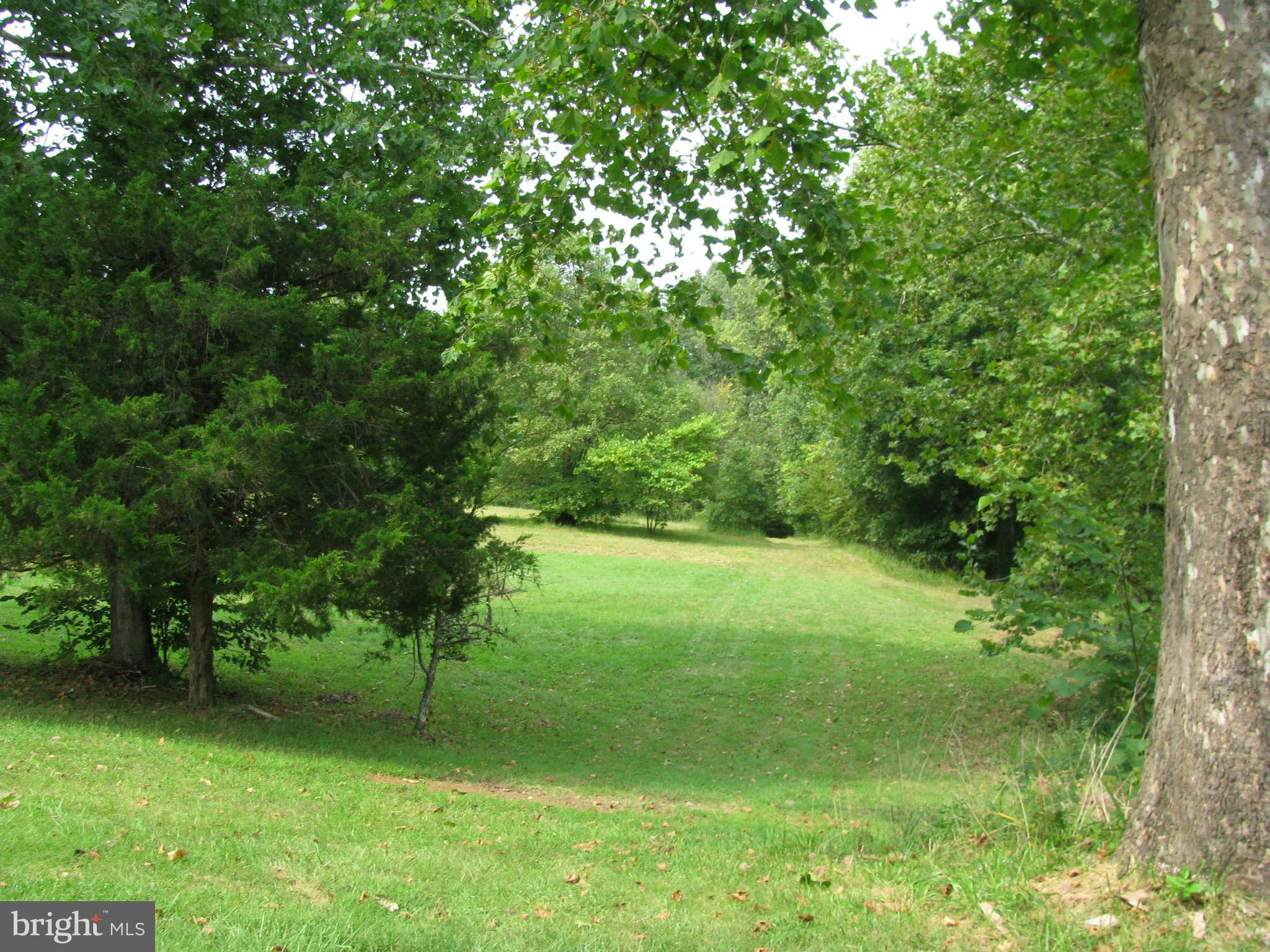 10337 Fairview Road Bumpass, VA 23024 - Photo 3 of 18 a view of a trees in a yard