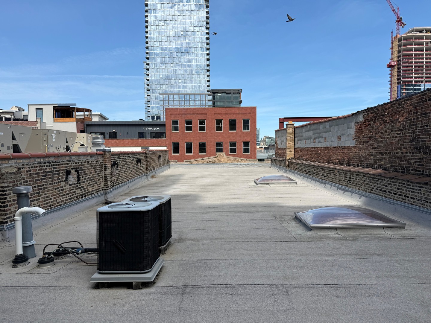 1109 West Fulton Market Chicago, IL 60607 - Photo 11 of 18
