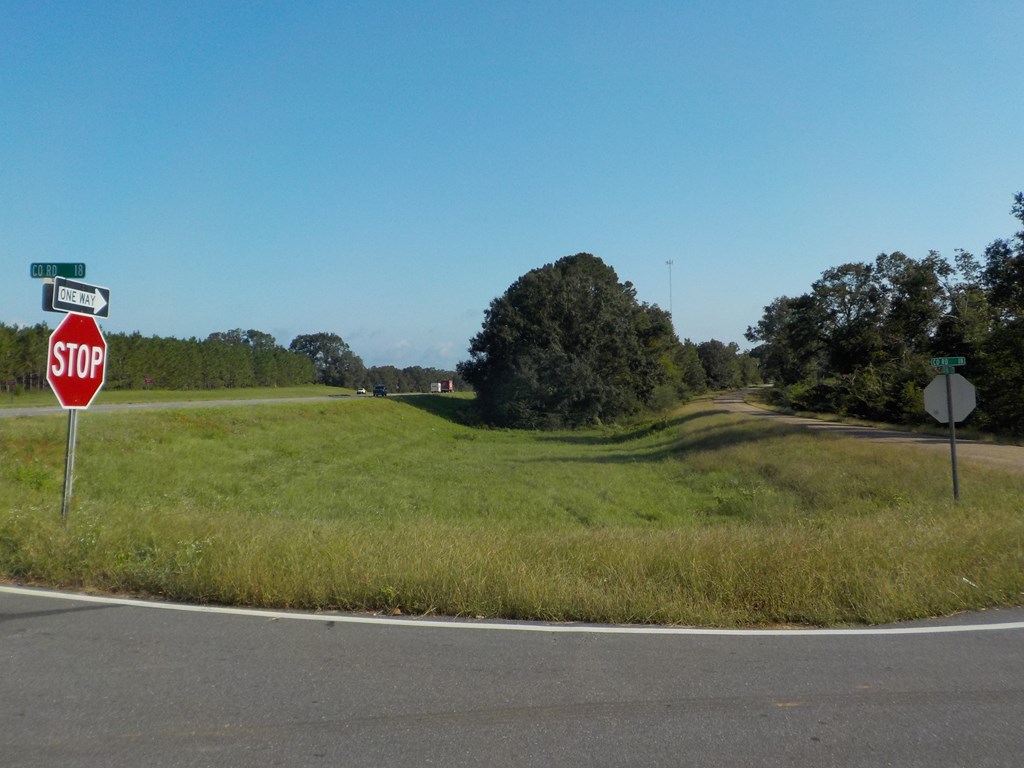 18/ Cty Road Headland, AL 36345 - Photo 15 of 22