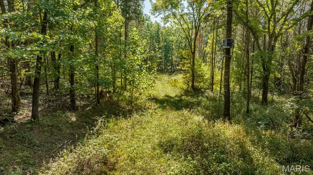 $239,900 | 1 Canter Creek, Cedar Hill, MO 63016