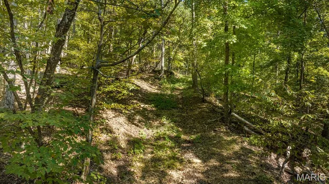 $239,900 | 1 Canter Creek, Cedar Hill, MO 63016