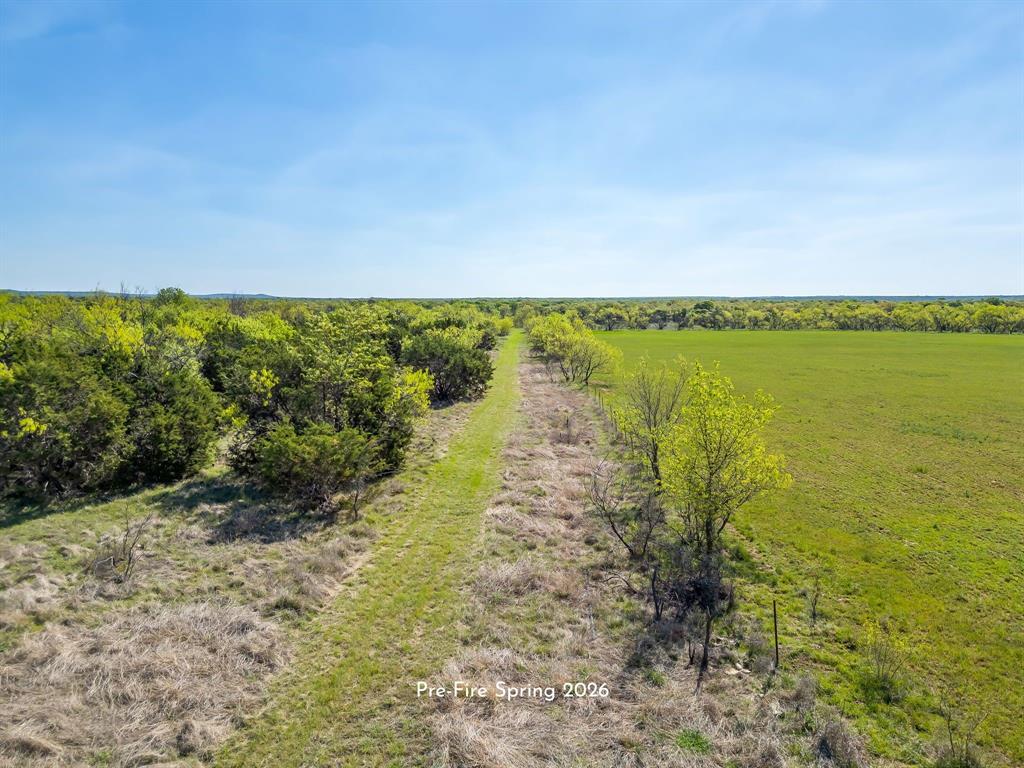 Tbd Teague Road Jacksboro, TX 76458 - Photo 19 of 19 Gallery Image 19