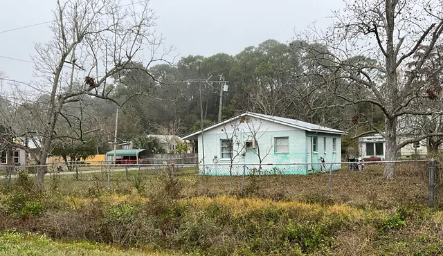 a white house that has a tree in front of it