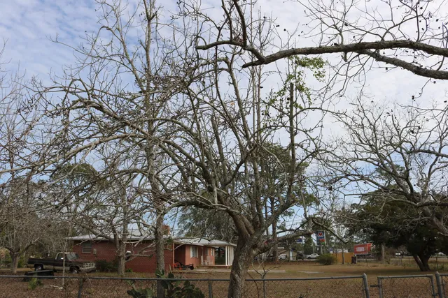 $160,000 | 5 Bayview Drive, Apalachicola, FL 32320