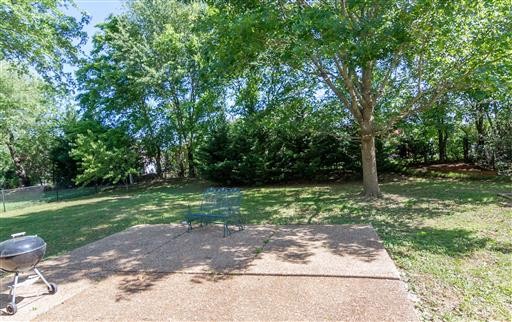 1766 Witt Way Drive Spring Hill, TN 37174 - Photo 12 of 13 a view of a yard with plants and a trees