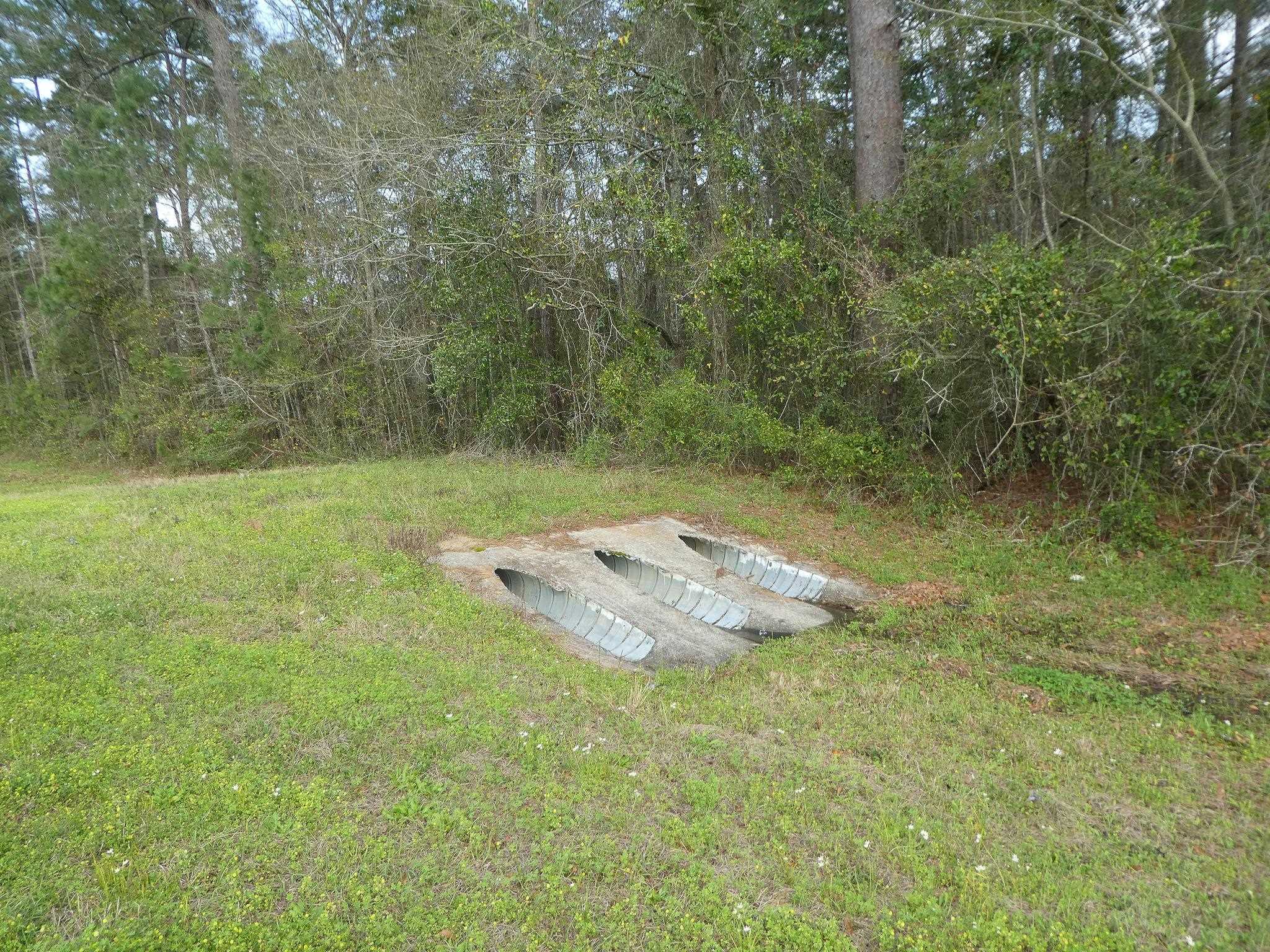 Xxx Thomasville Road Tallahassee, FL 32312 - Photo 12 of 45