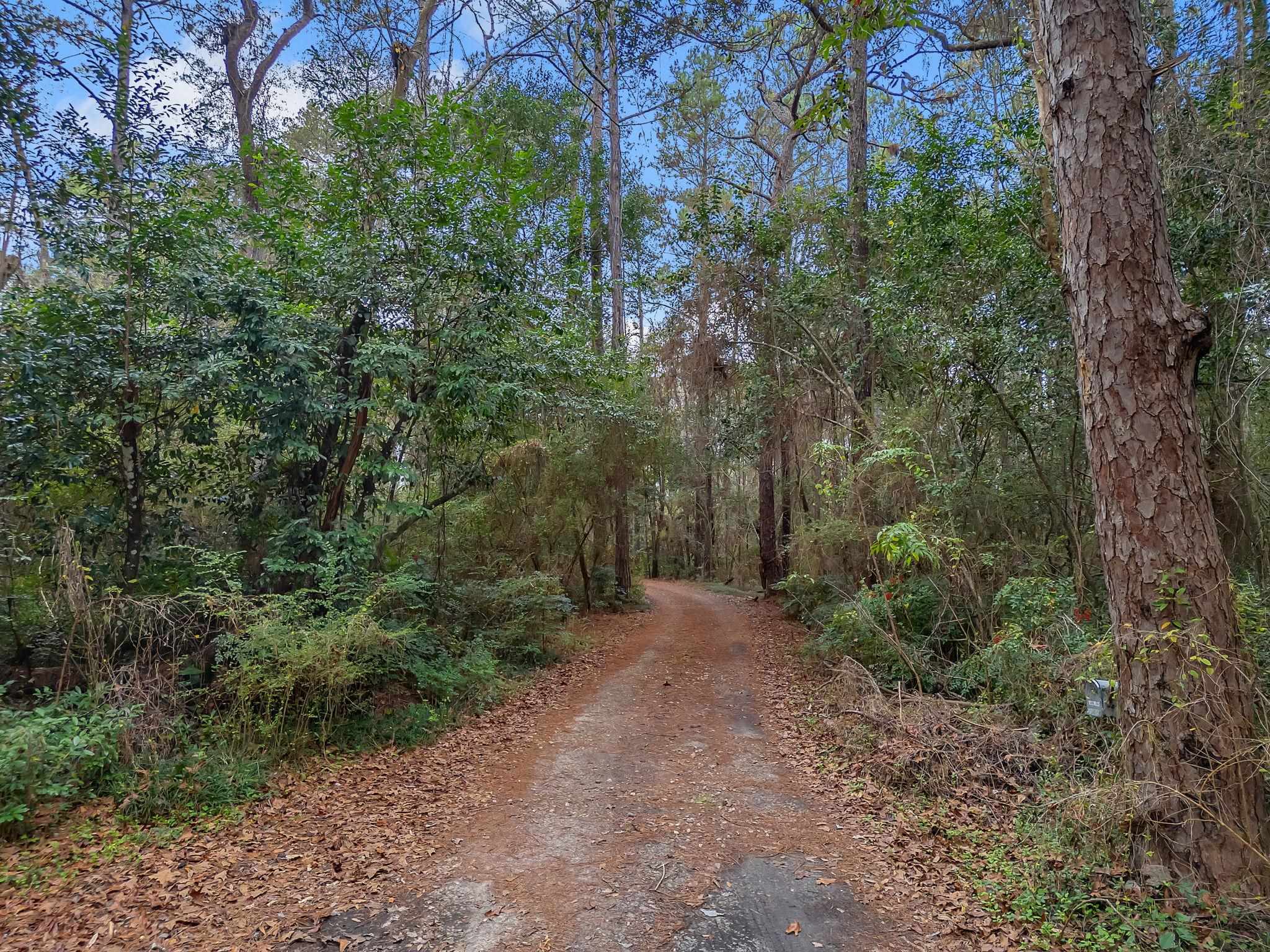 Xxx Thomasville Road Tallahassee, FL 32312 - Photo 32 of 45
