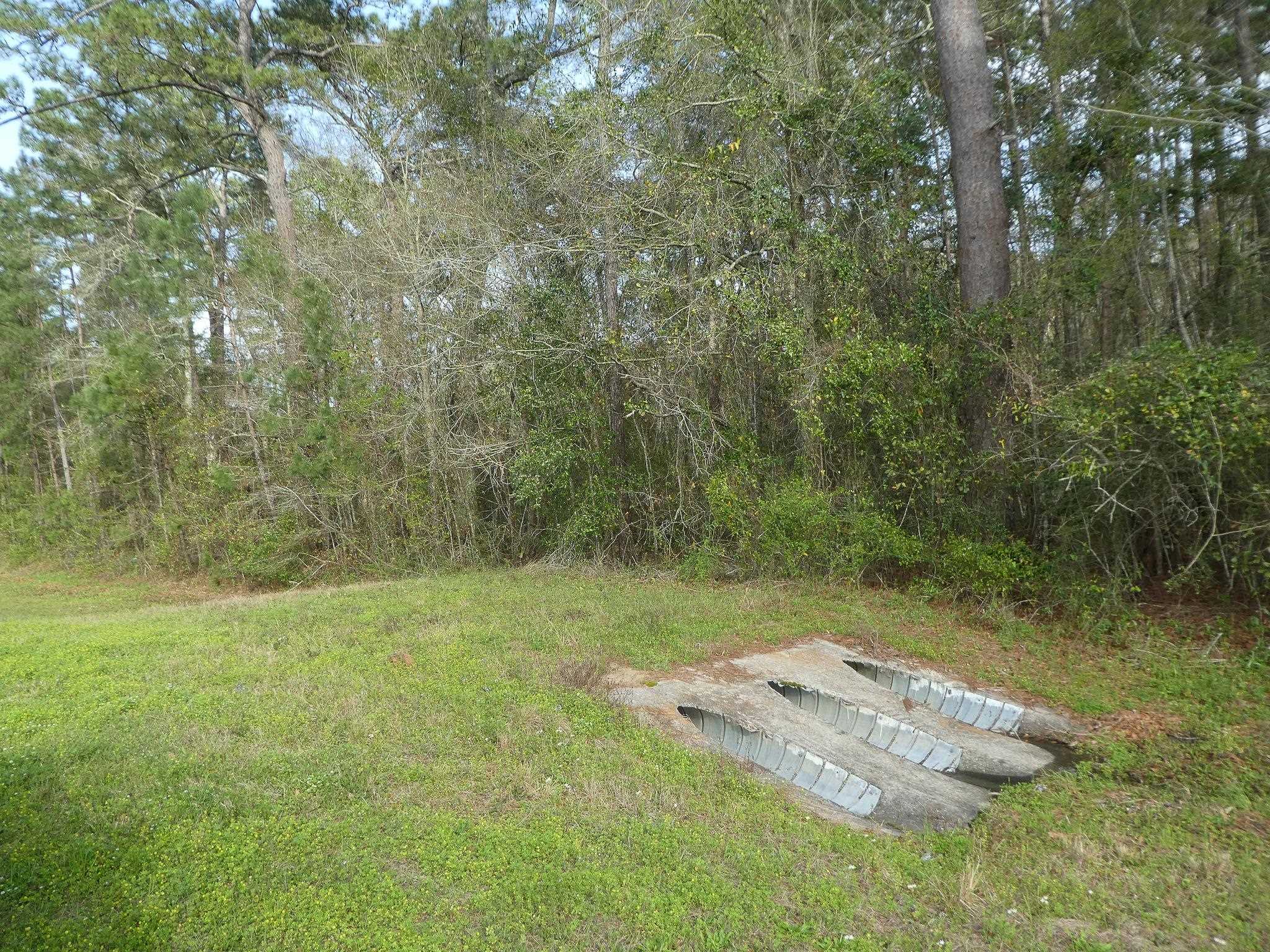 Xxx Thomasville Road Tallahassee, FL 32312 - Photo 35 of 45
