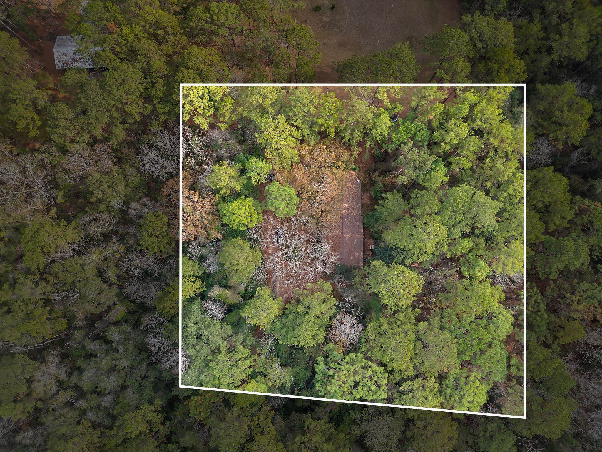 Xxx Thomasville Road Tallahassee, FL 32312 - Photo 43 of 45