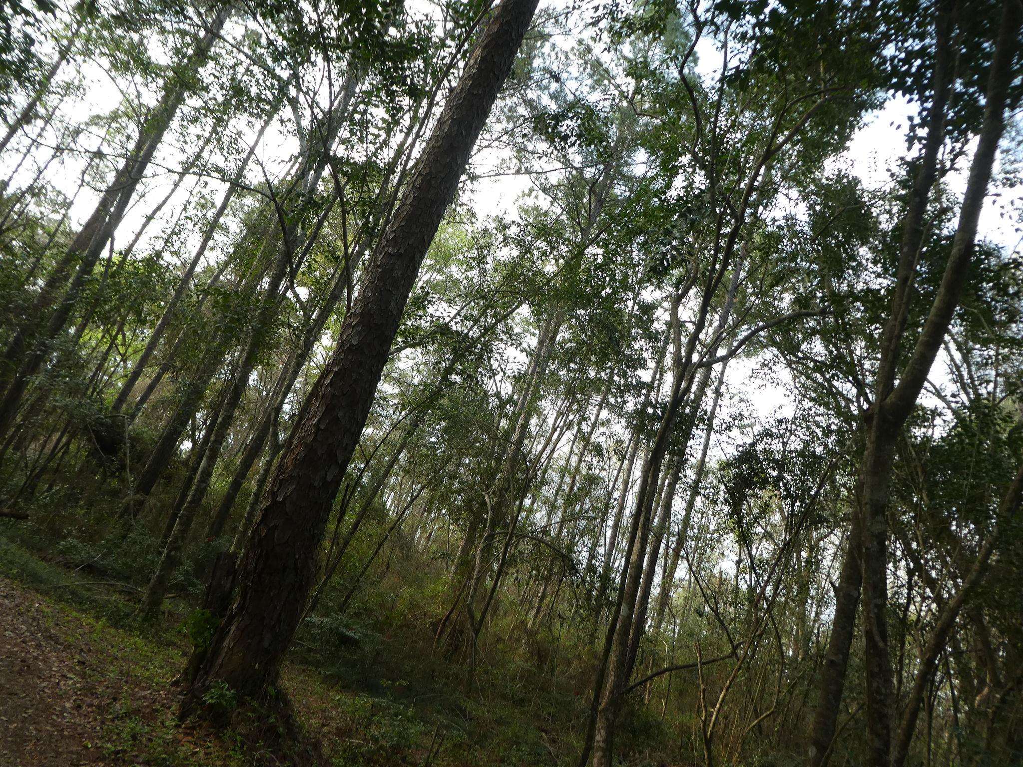 Xxx Thomasville Road Tallahassee, FL 32312 - Photo 44 of 45