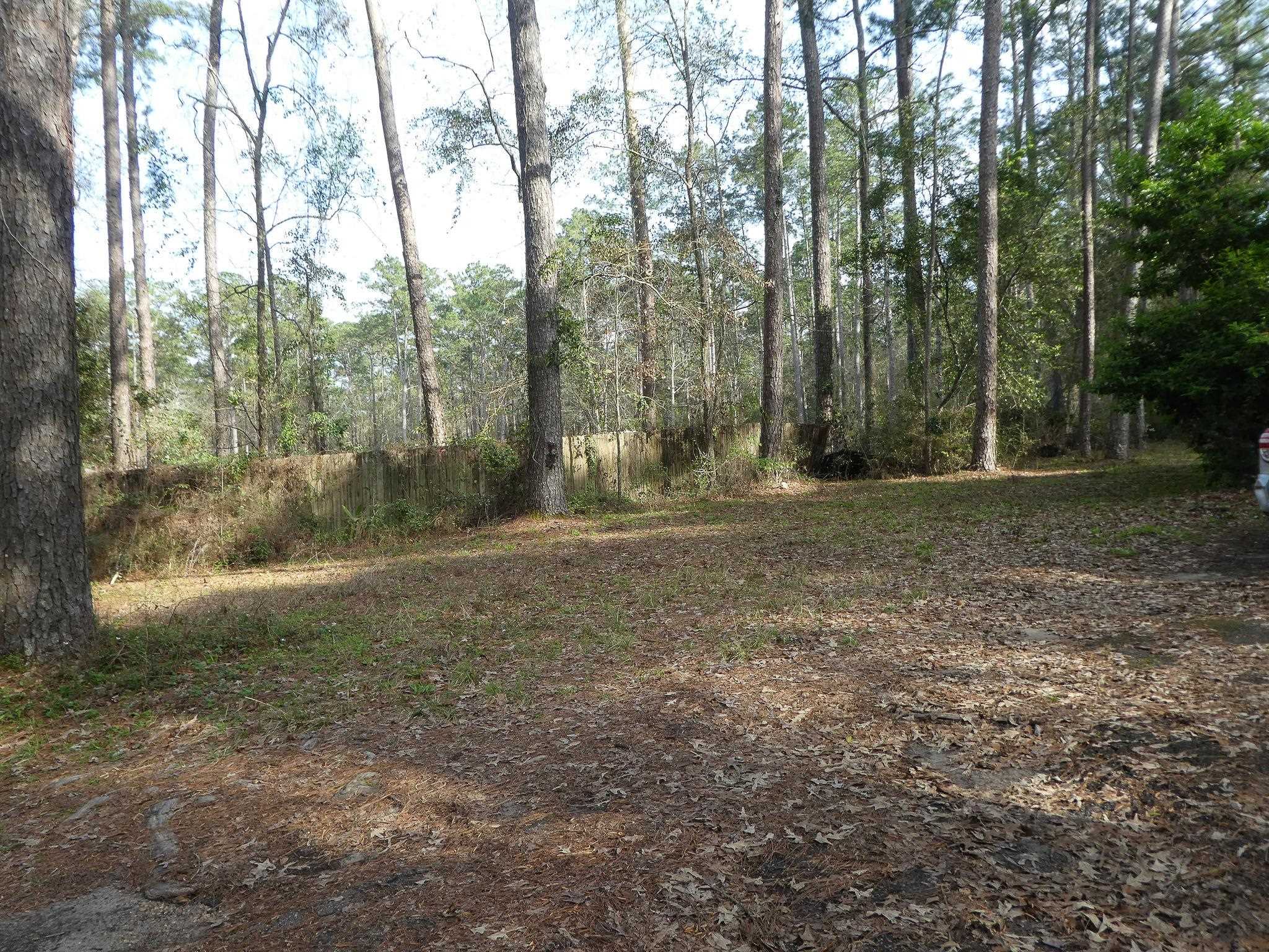 Xxx Thomasville Road Tallahassee, FL 32312 - Photo 45 of 45