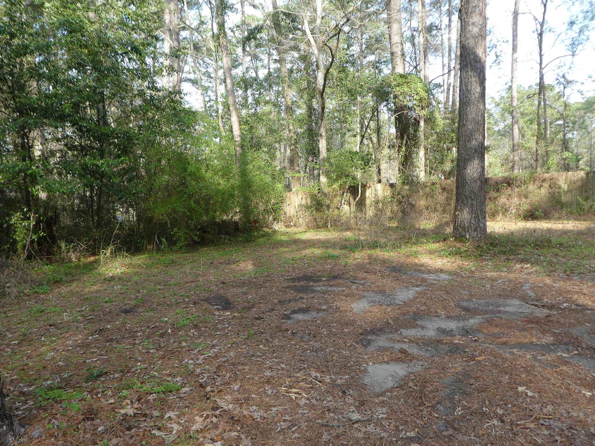 Xxx Thomasville Road Tallahassee, FL 32312 - Photo 5 of 45