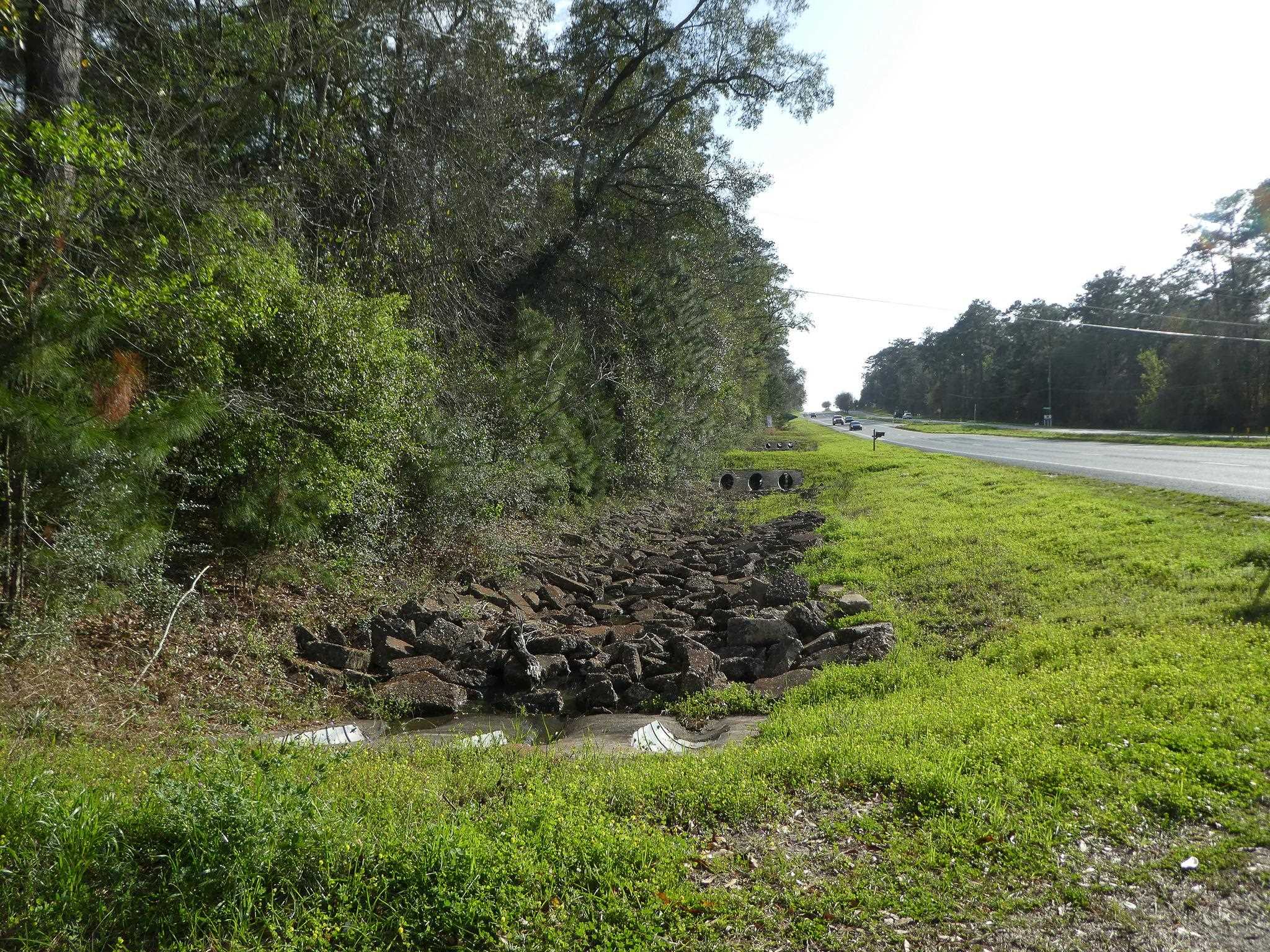 Xxx Thomasville Road Tallahassee, FL 32312 - Photo 9 of 45