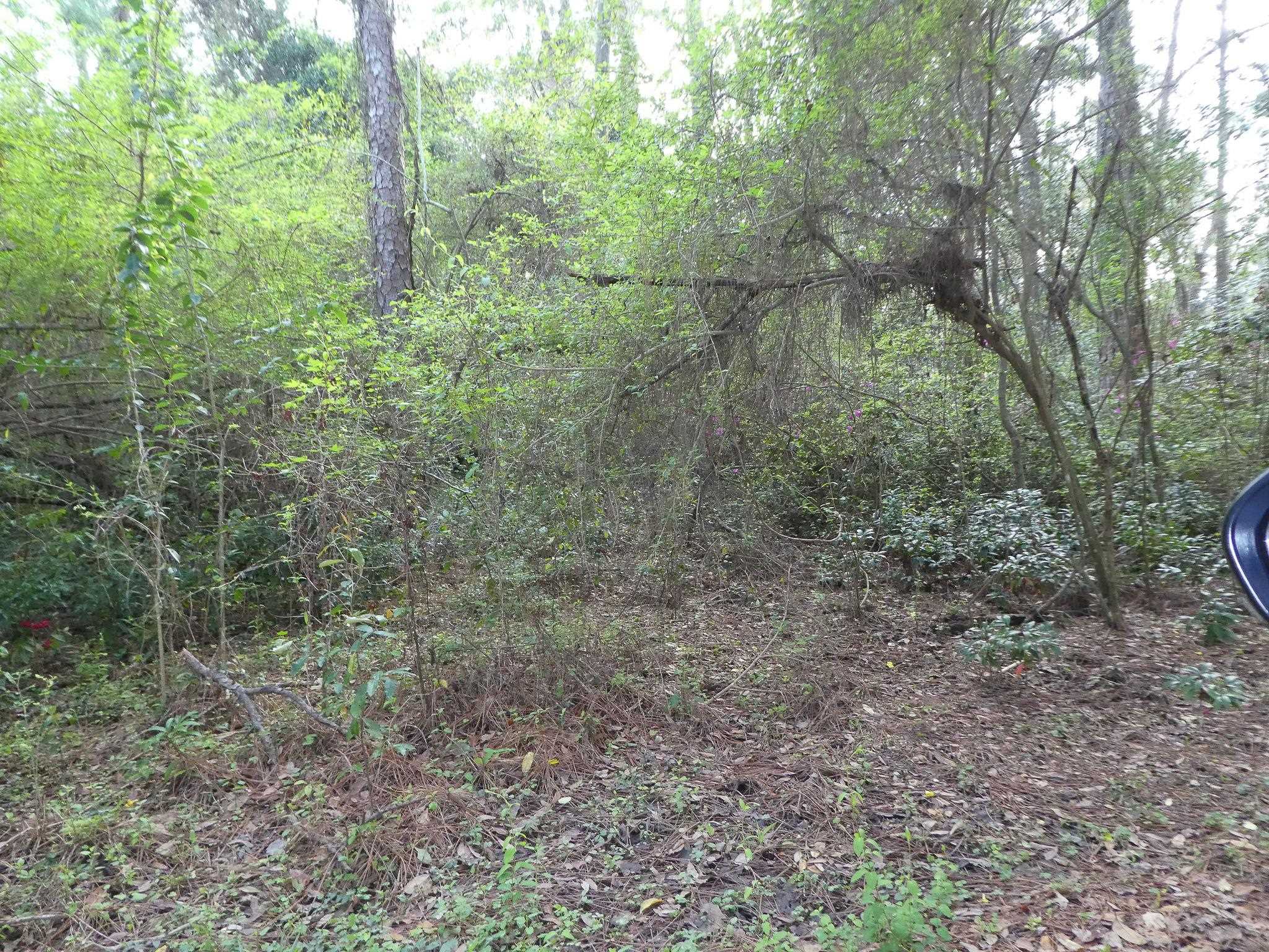 Xxx Thomasville Road Tallahassee, FL 32312 - Photo 10 of 45