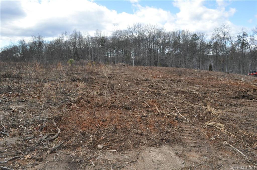 527 Floyd Blackwell Road, Unit A Tryon, NC 28782 - Photo 12 of 13 a view of a dry yard