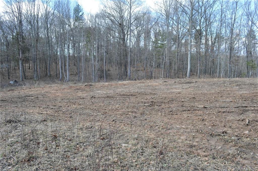 527 Floyd Blackwell Road, Unit A Tryon, NC 28782 - Photo 9 of 13 a view of outdoor space with trees