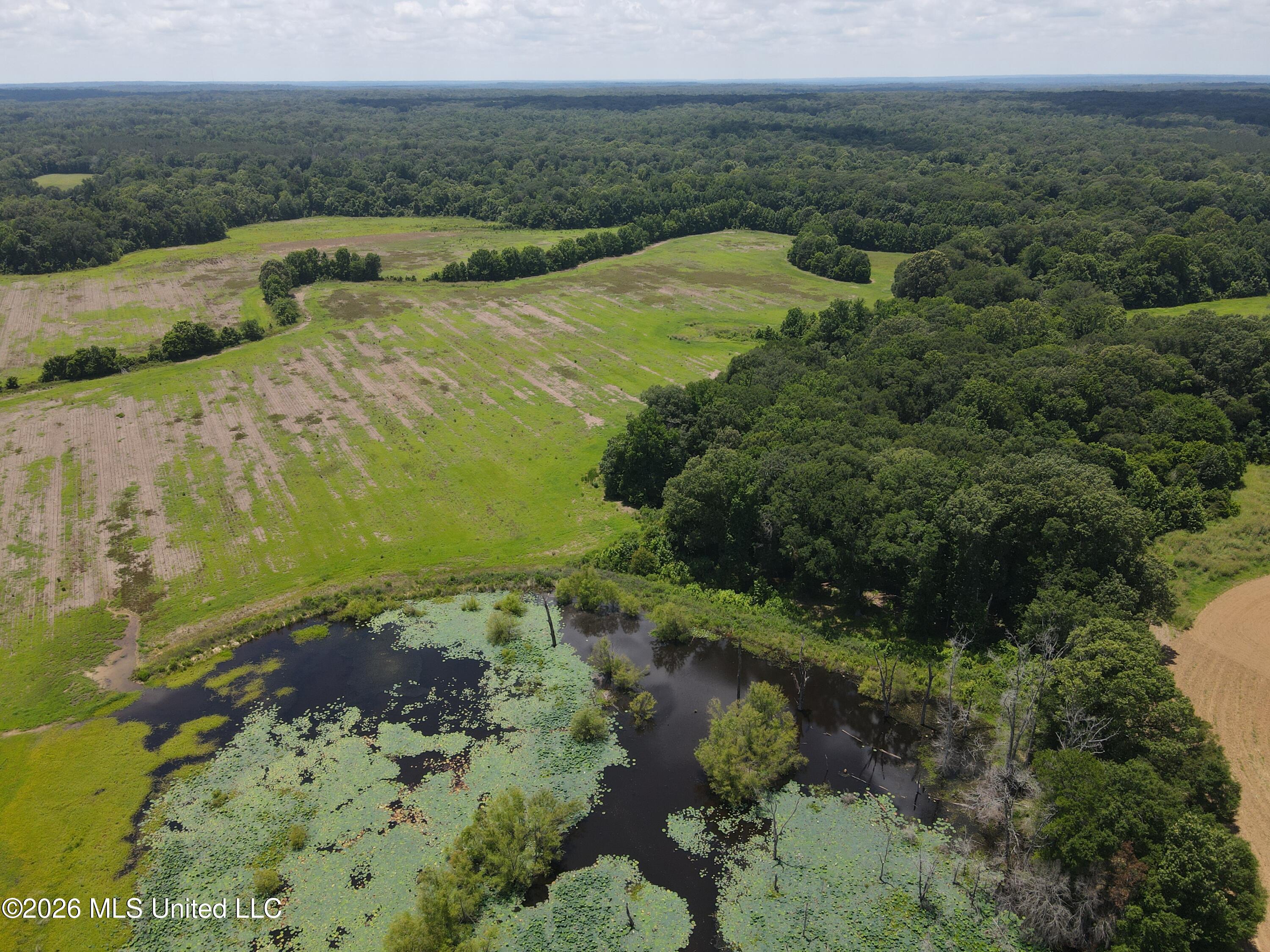 Old Port Edwards, MS 39066 - Photo 42 of 65 AXRI9148