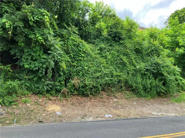 a view of a yard with plants and a tree