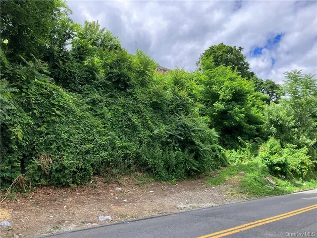 a view of a plants and pathway of a yard