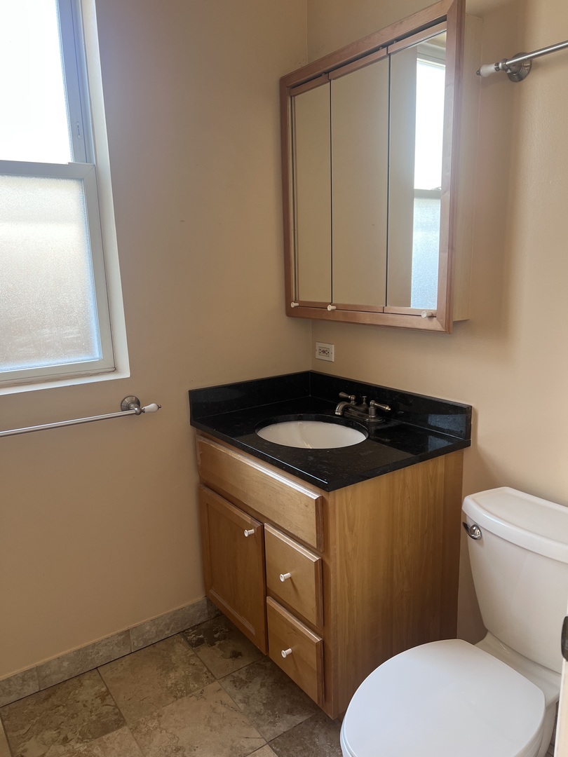 Undisclosed Address Chicago, IL 60622 - Photo 14 of 16 a bathroom with a sink a toilet and a window