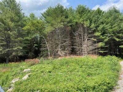 623 Johnson Pond Road North Hudson, NY 12855 - Photo 8 of 10 field