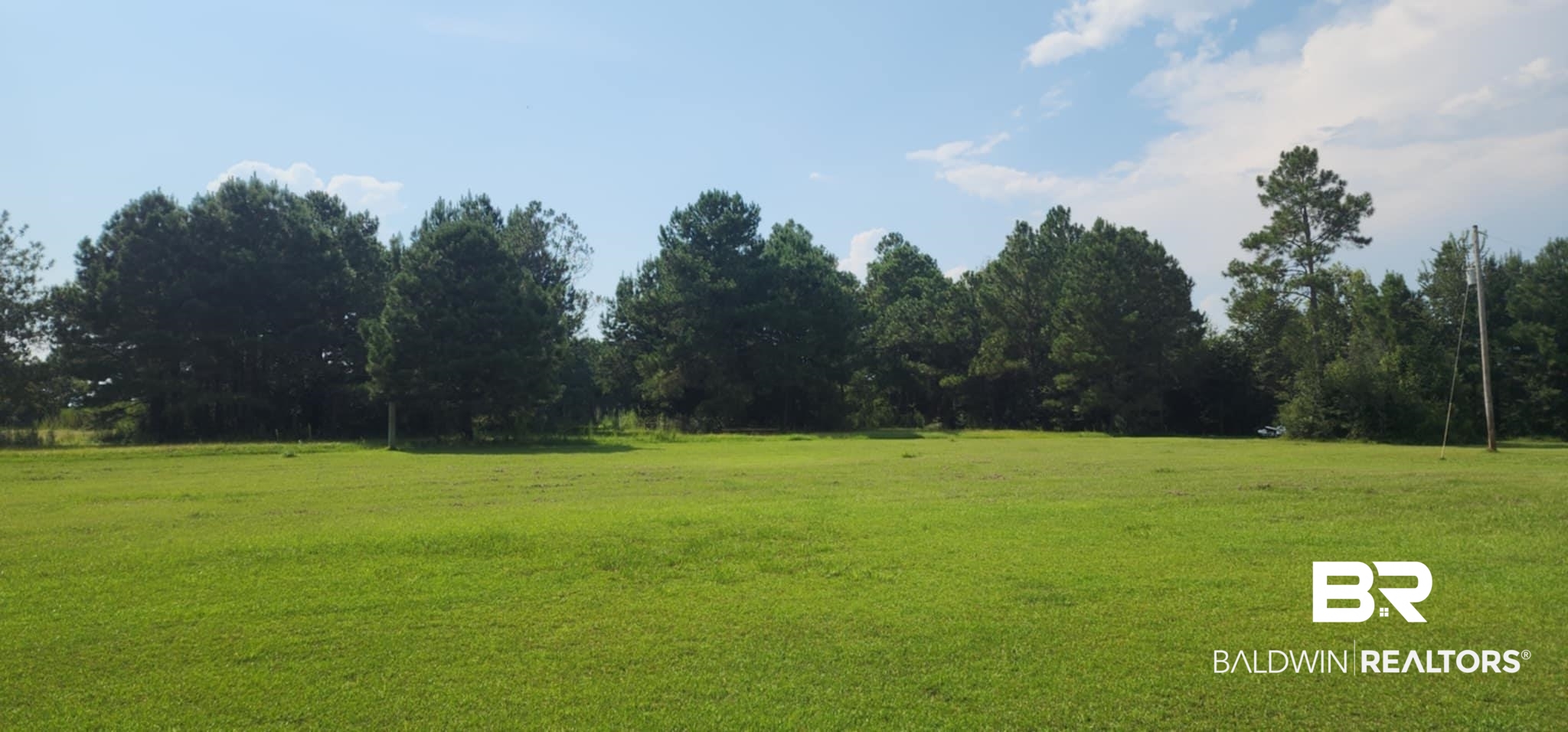 29049 Loper Road Loxley, AL 36551 - Photo 19 of 23 View of green lawn with a rural view