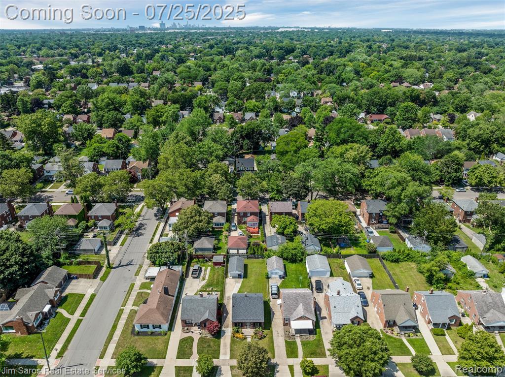 3821 Cadieux Road Detroit, MI 48224 - Photo 13 of 14 Gallery Image 13