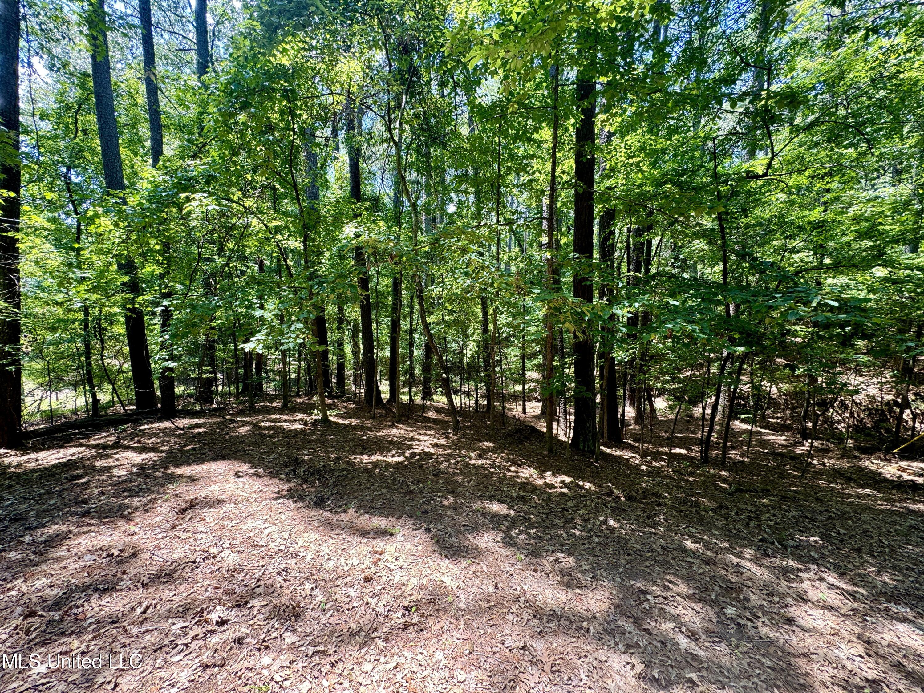 33 Webster Road Pope, MS 38658 - Photo 12 of 14 IMG_4640~photo