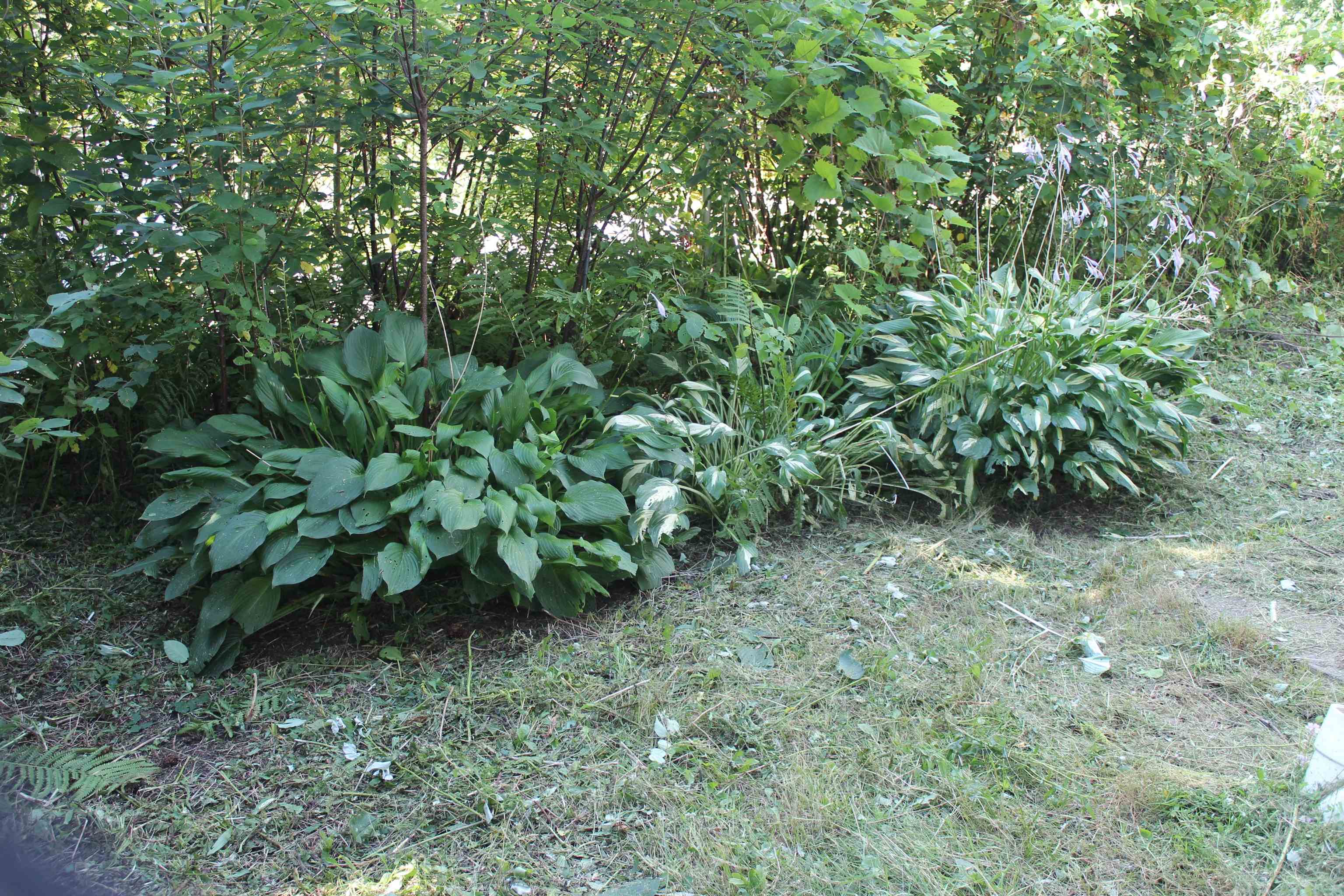 111 Prospect Street Barton, VT 05822 - Photo 12 of 17