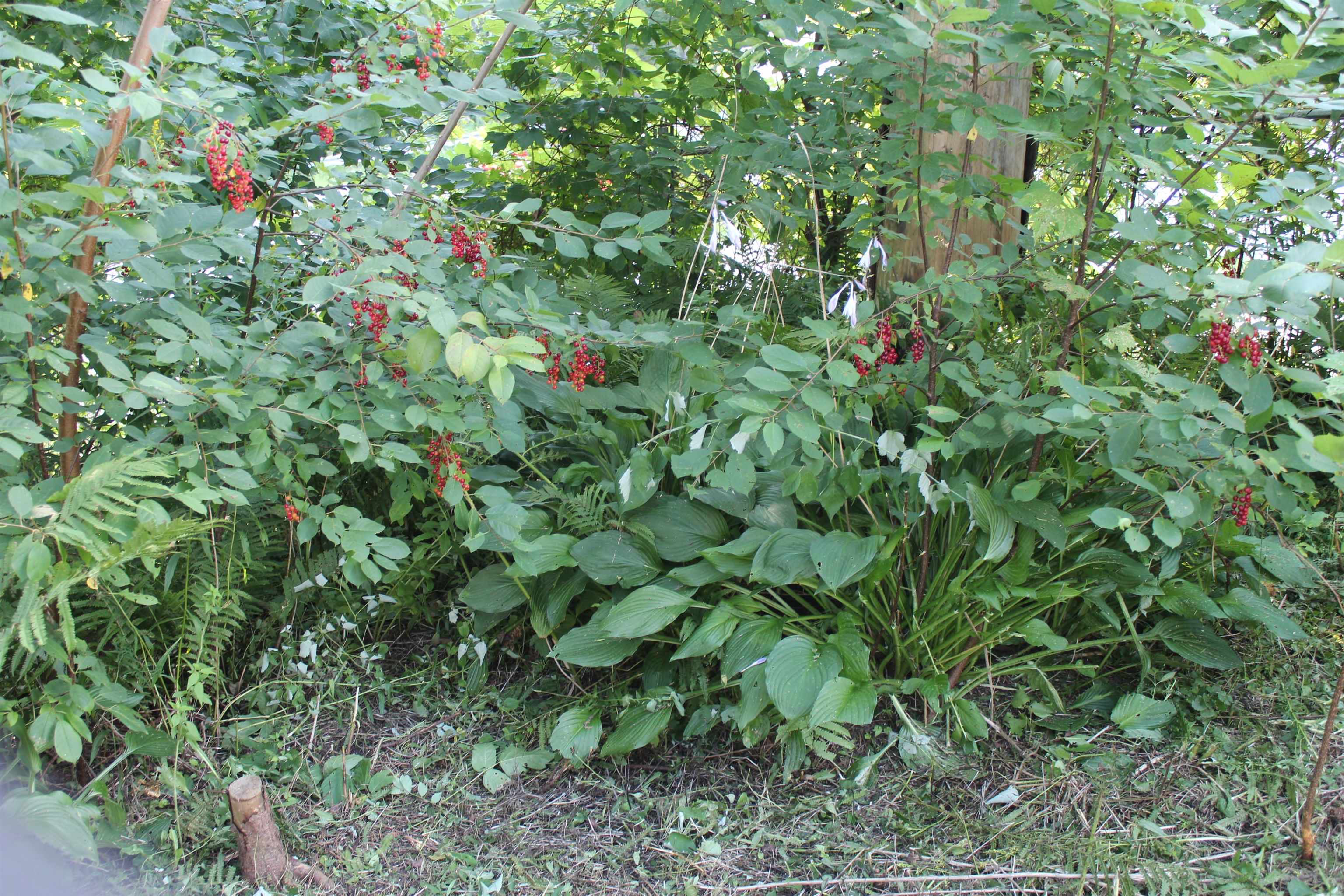 111 Prospect Street Barton, VT 05822 - Photo 13 of 17