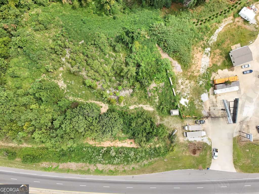 a view of yard from window