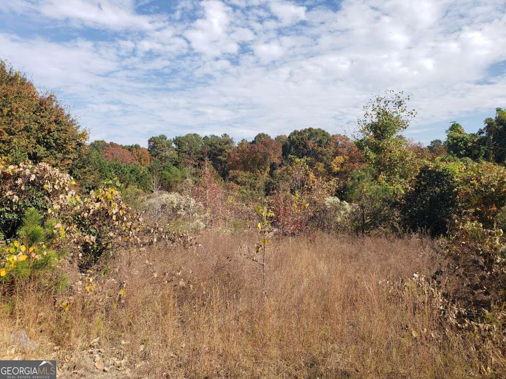 3340 Highway 92 Fairburn Road Douglasville, GA 30135 - Photo 3 of 3 a view of a bunch of trees in a field