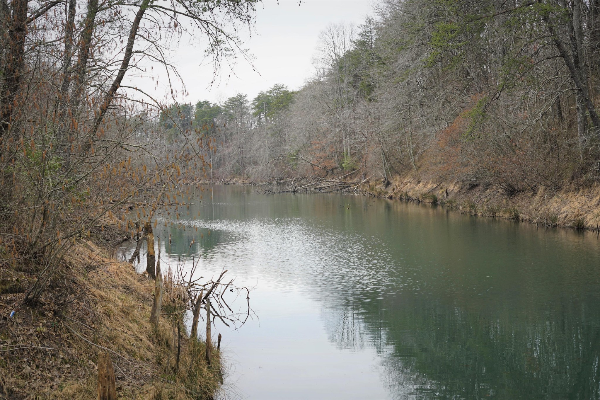 0 Freemont Road Tracy City, TN 37387 - Photo 1 of 13 Gallery Image 1