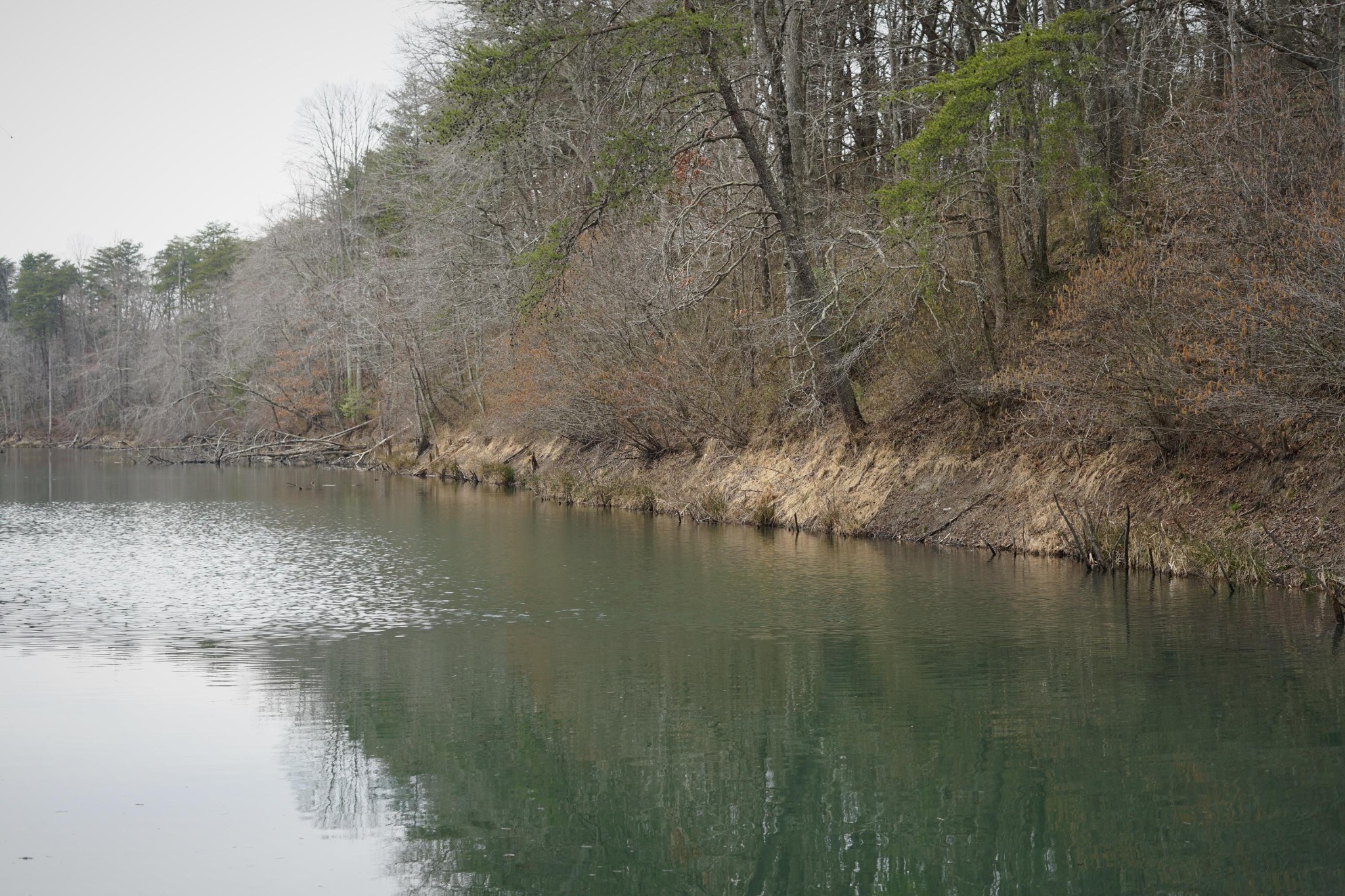0 Freemont Road Tracy City, TN 37387 - Photo 2 of 13 Gallery Image 2
