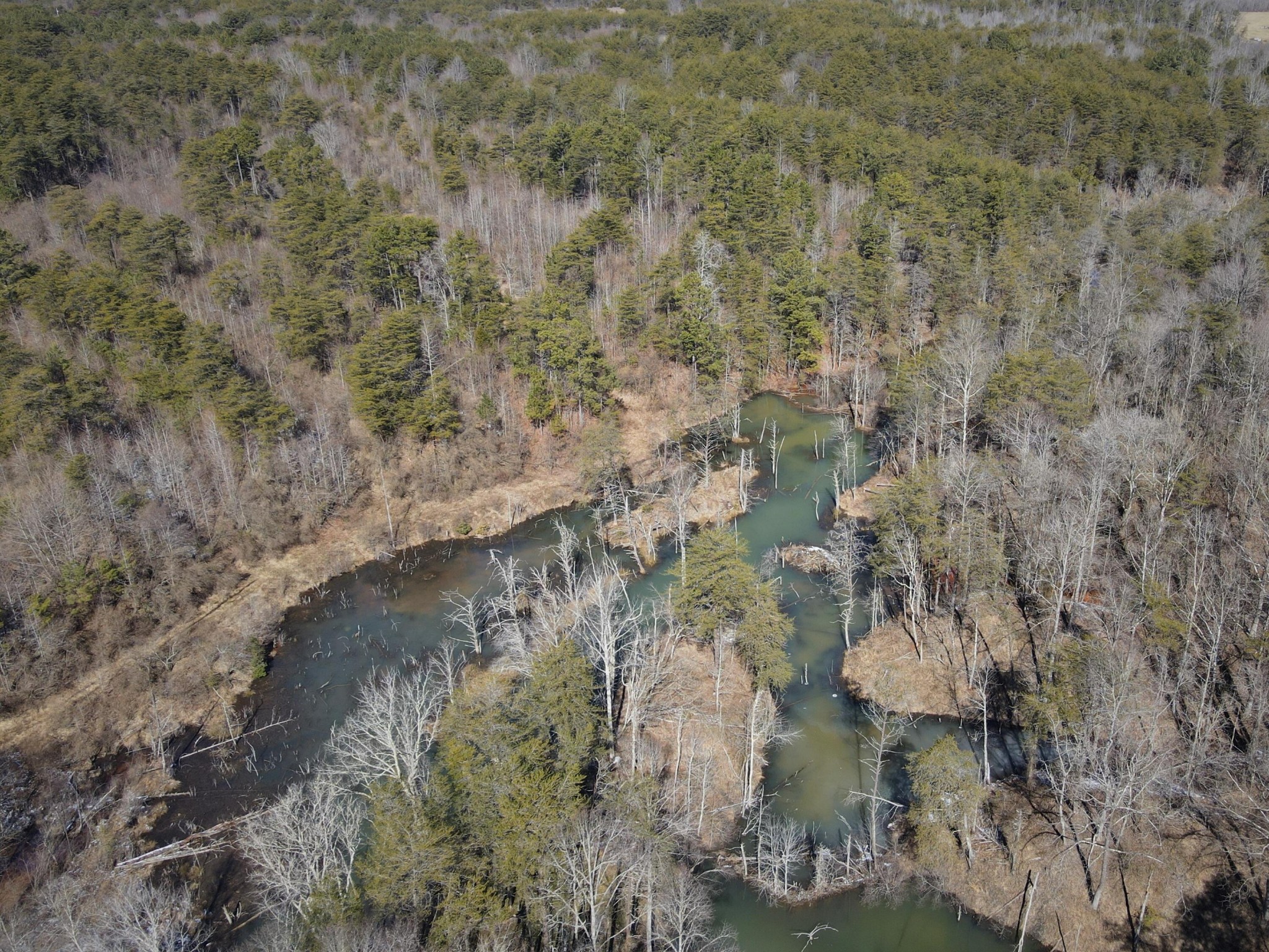 0 Freemont Road Tracy City, TN 37387 - Photo 10 of 13 Gallery Image 10