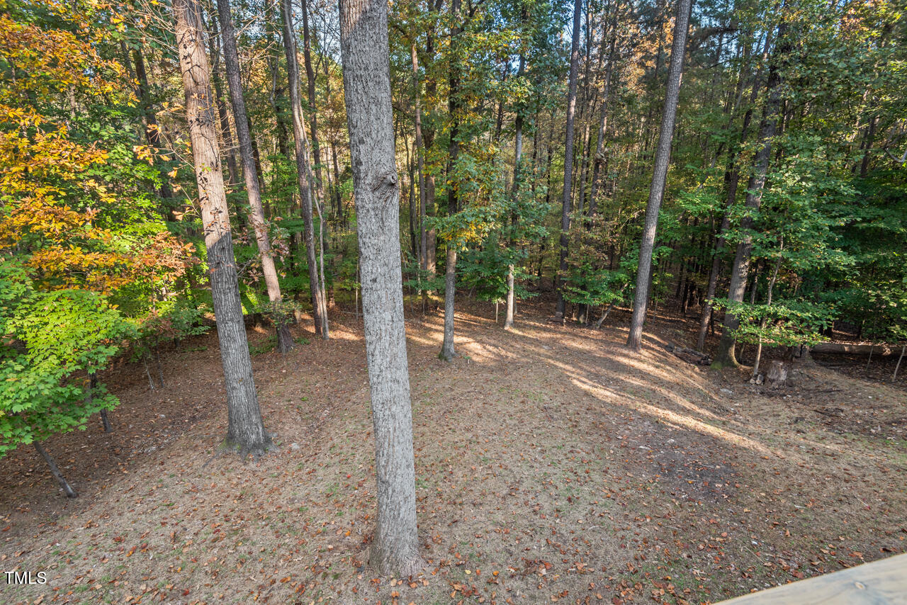 5208 Troutman Lane Raleigh, NC 27613 - Photo 53 of 78 57