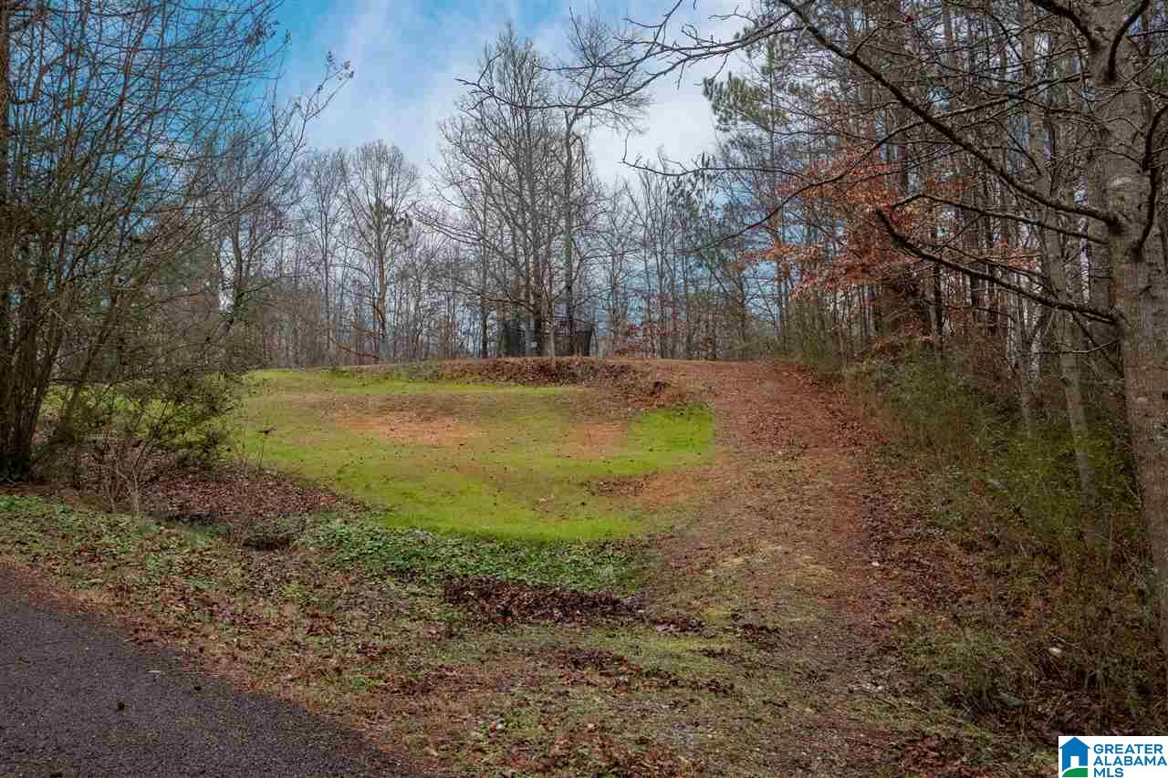 2481 County Road 29 Oneonta, AL 35121 - Photo 24 of 35