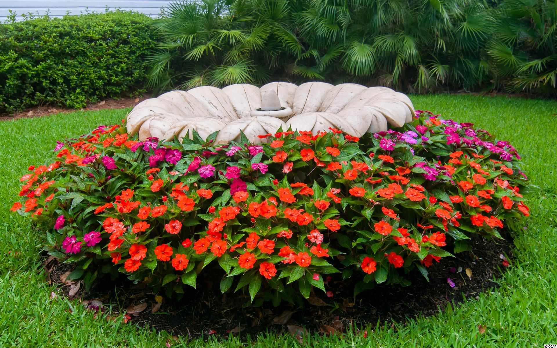 422 Prince Street Georgetown, SC 29440 - Photo 11 of 40