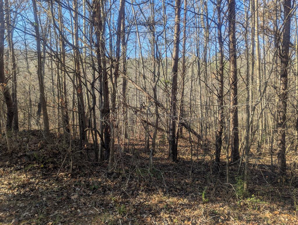 0 South Hurricane Road Rocky Face, GA 30740 - Photo 3 of 5 Gallery Image 3