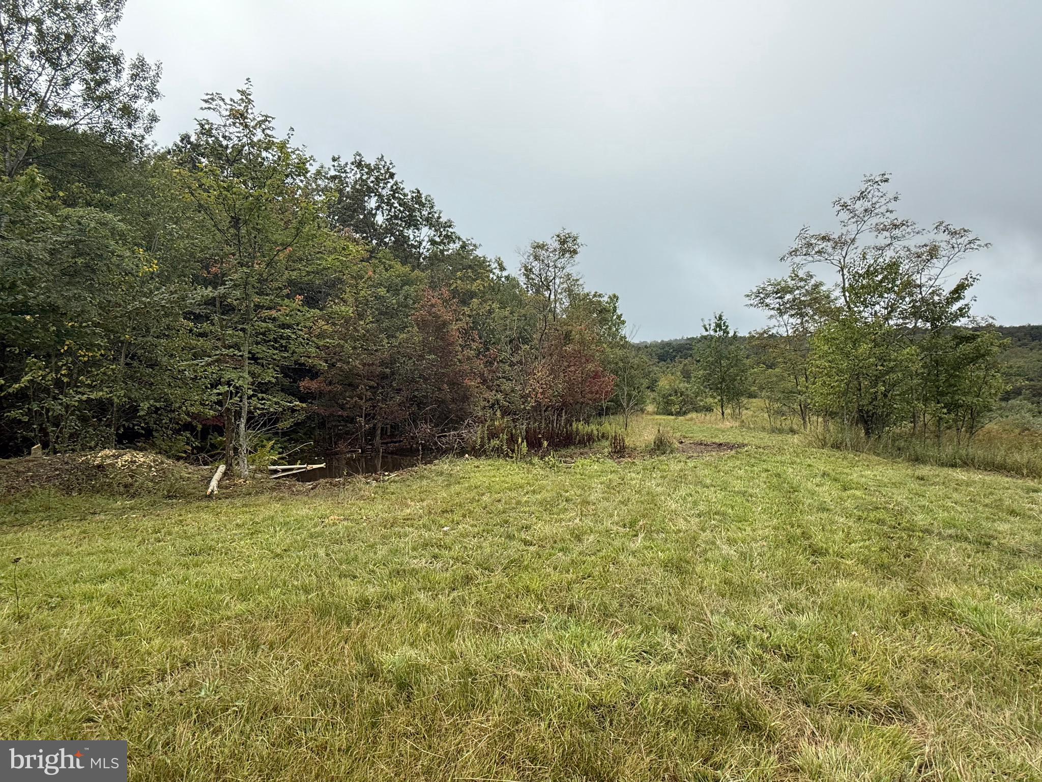 0 Pinnacle Road Keyser, WV 26726 - Photo 19 of 61