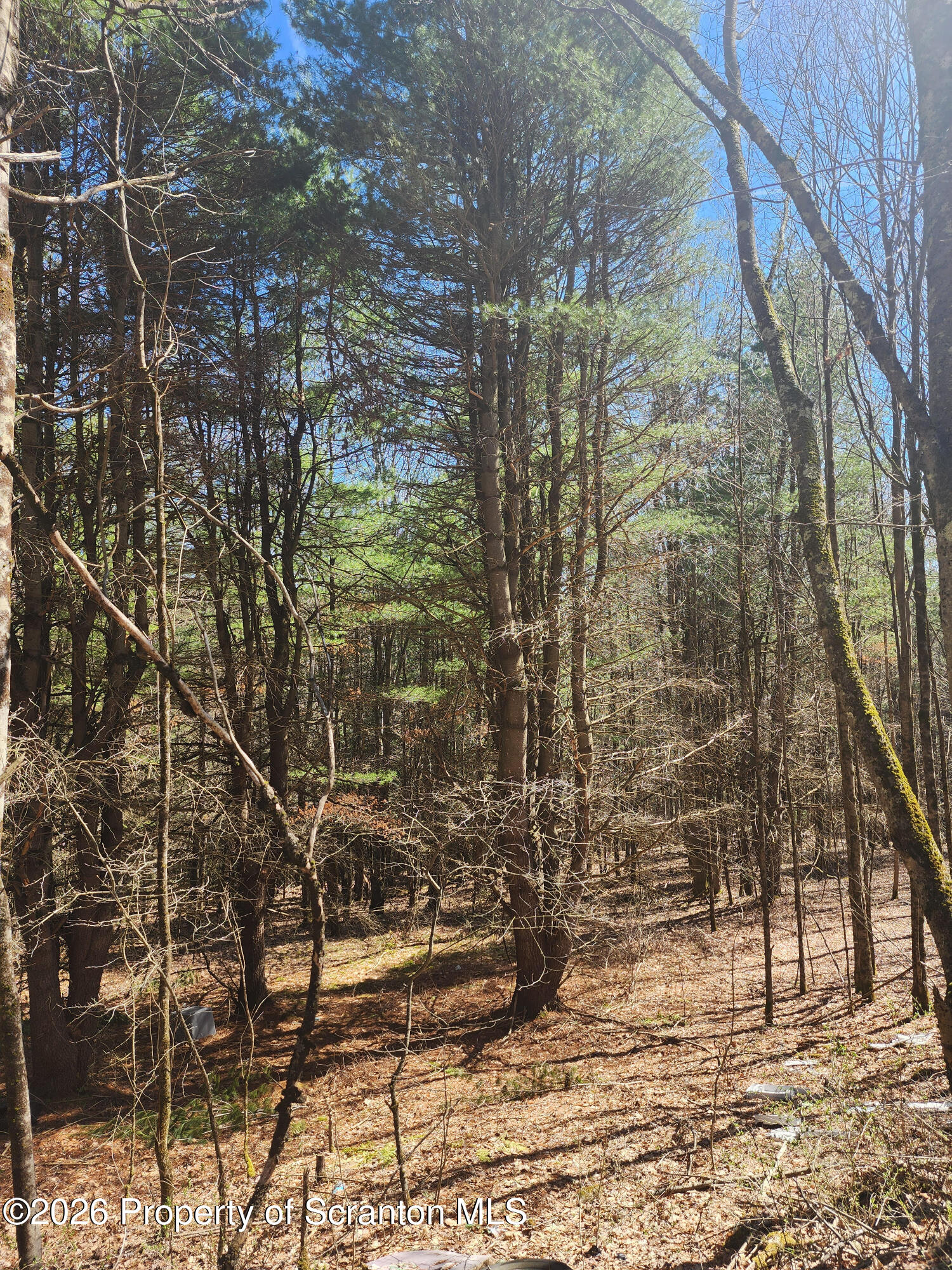 114 Tarbell Hill Road Deposit, NY 13754 - Photo 3 of 7 Pic 3