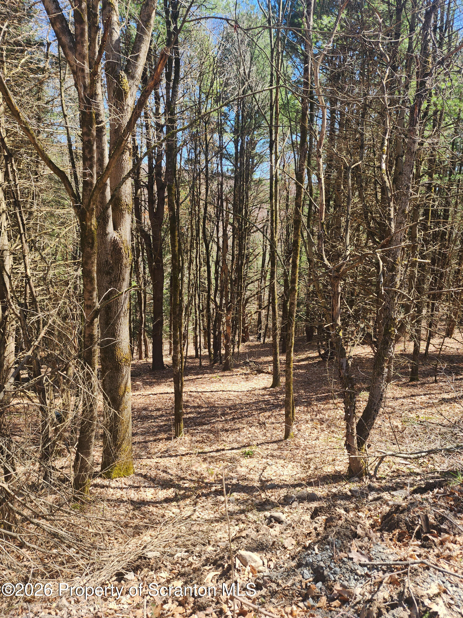 114 Tarbell Hill Road Deposit, NY 13754 - Photo 4 of 7 Pic 4