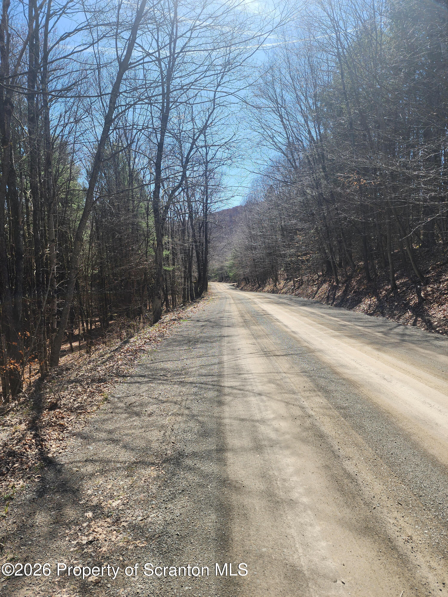 114 Tarbell Hill Road Deposit, NY 13754 - Photo 6 of 7 Road View 2