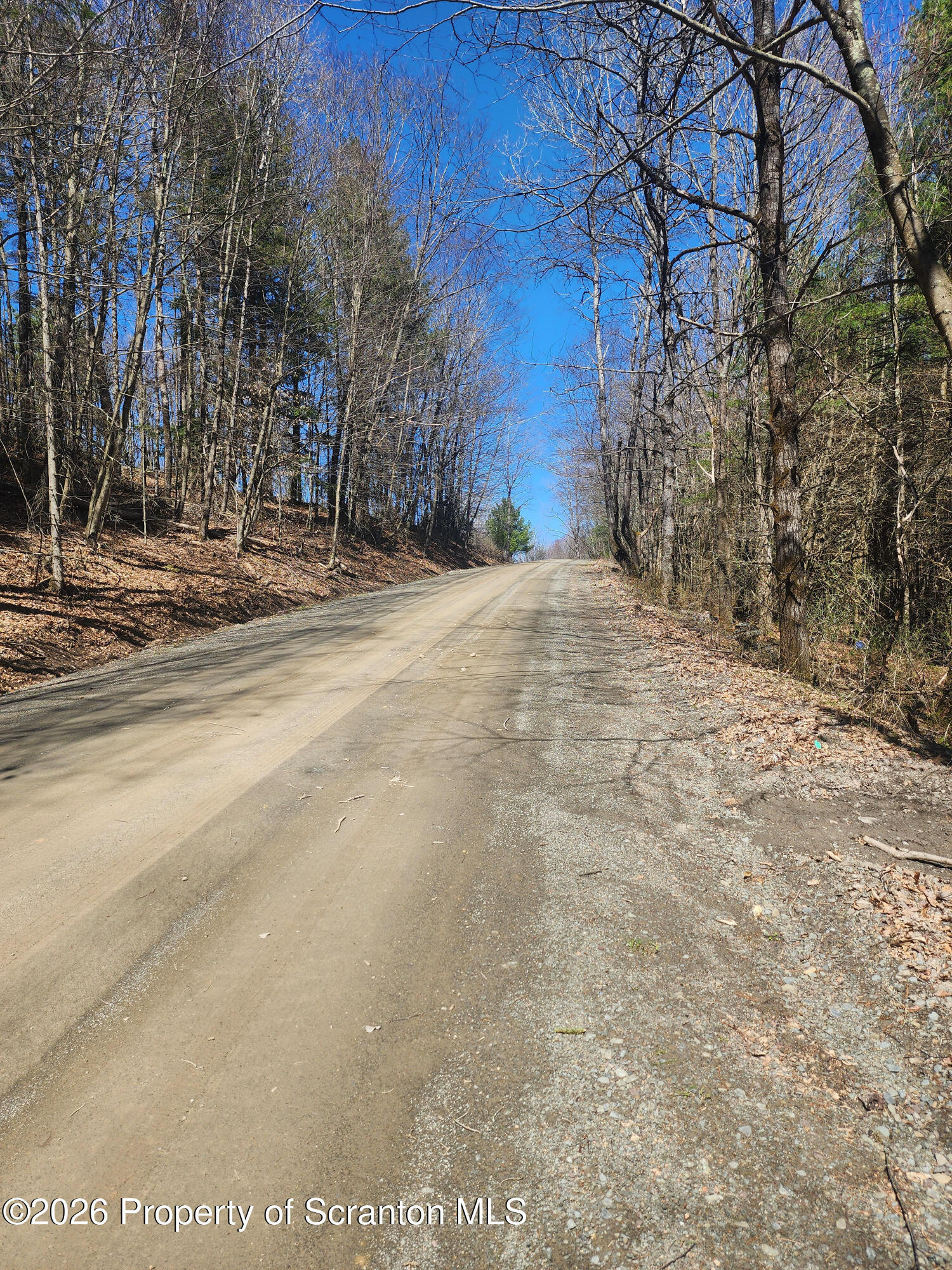 114 Tarbell Hill Road Deposit, NY 13754 - Photo 7 of 7 Road View