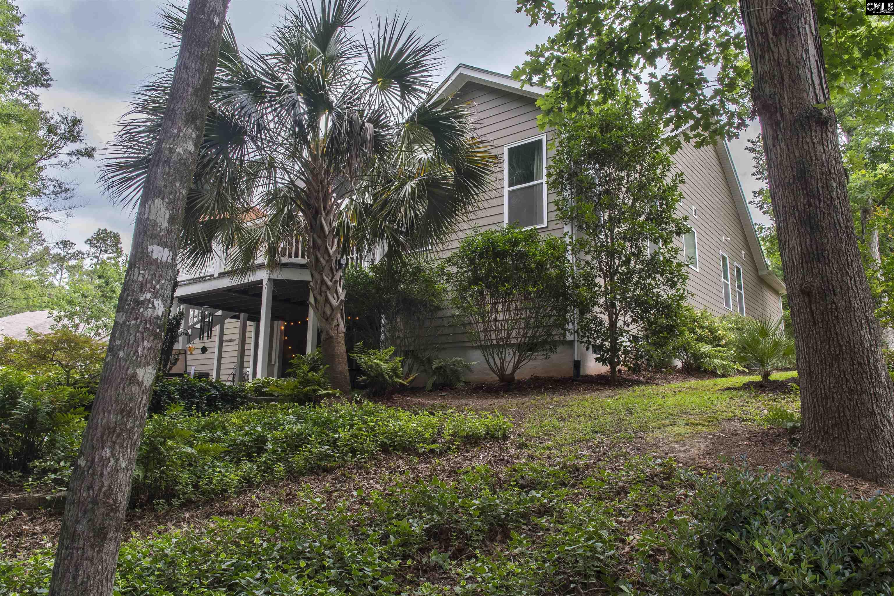 101 Woolbright Avenue Chapin, SC 29036 - Photo 49 of 61