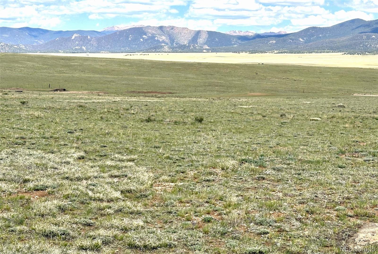 1593 Yellowstone Road Hartsel, CO 80449 - Photo 15 of 16