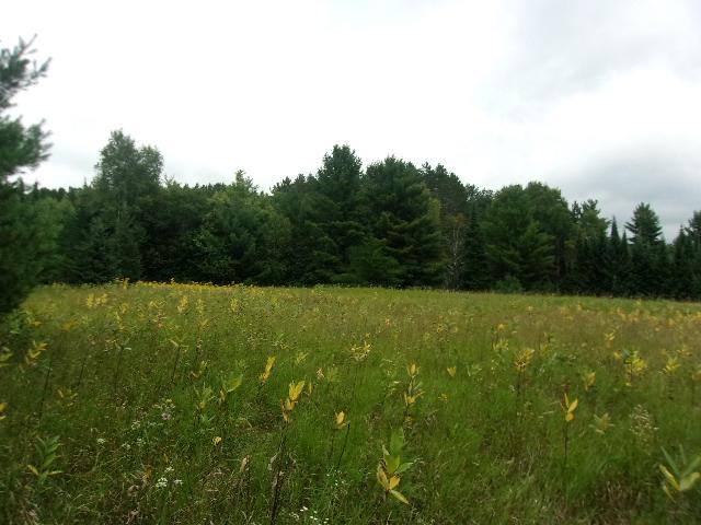 Lot 4 Allyn Road Mercer, WI 54547 - Photo 13 of 20 Gallery Image 13