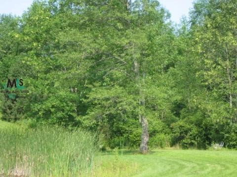 5839 Connell Road Emmett, MI 48022 - Photo 4 of 4 653727-3.JPG