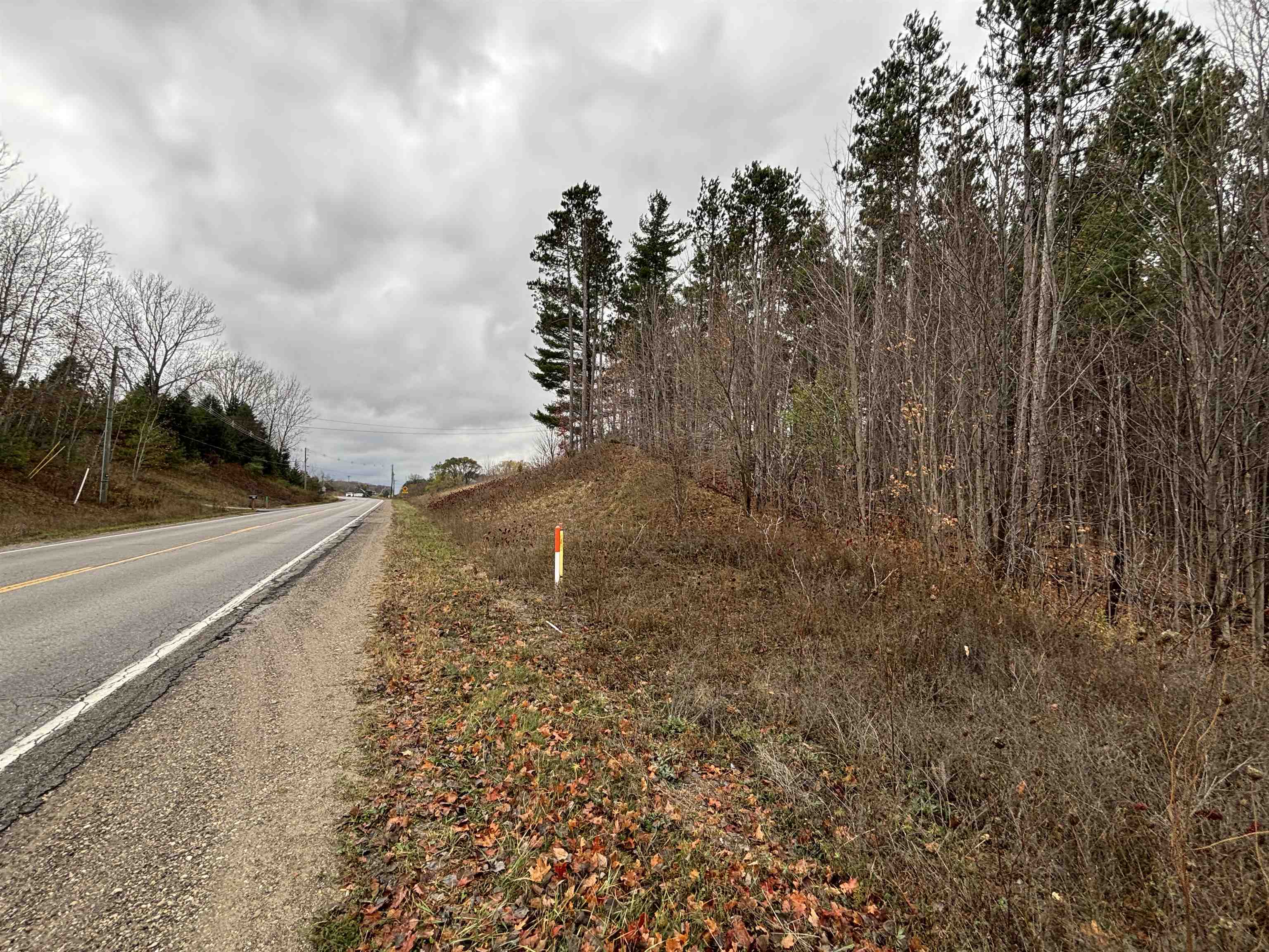1929568-6849e066-8b87-4365-8545-68d18ab7b097.JPG