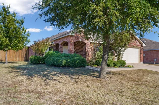 a view of a house with a tree in front of it